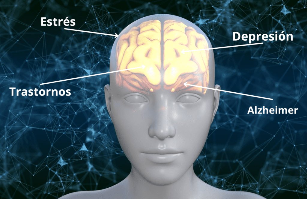 Enfermedades del cerebro